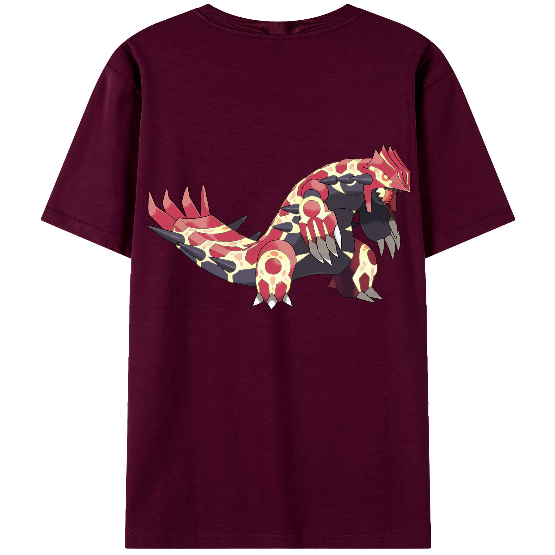 （画像用） ポケットモンスター Pokémon レディース半袖Tシャツ(バックプリント)